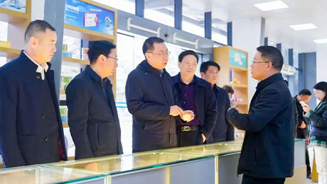 依法服务保障企业更好发展，陇南中院院长万建军赴独一味制药调研指导