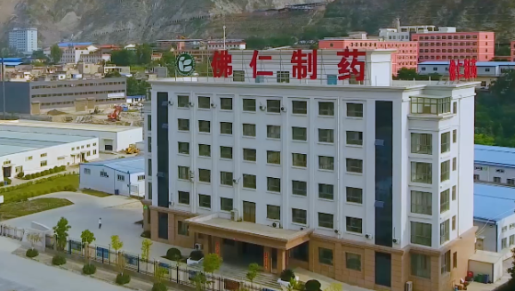 甘肃省副省长葛建团莅临必赢亚洲（002219）旗下佛仁制药考察调研